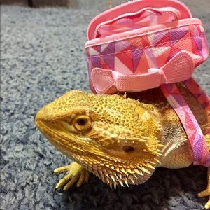 Meet your Posher, Kindra